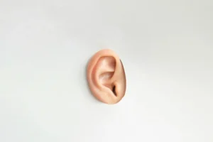 Lire la suite à propos de l’article L’oreille absolue : mythe ou réalité ? Comment l’acquérir et la développer