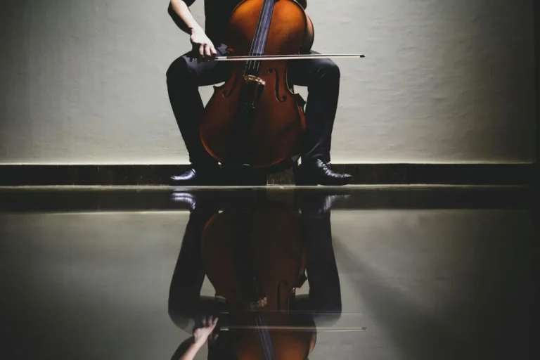 Lire la suite à propos de l’article Achat de violoncelle pour concerts et festivals : découvrez nos modèles d’excellence