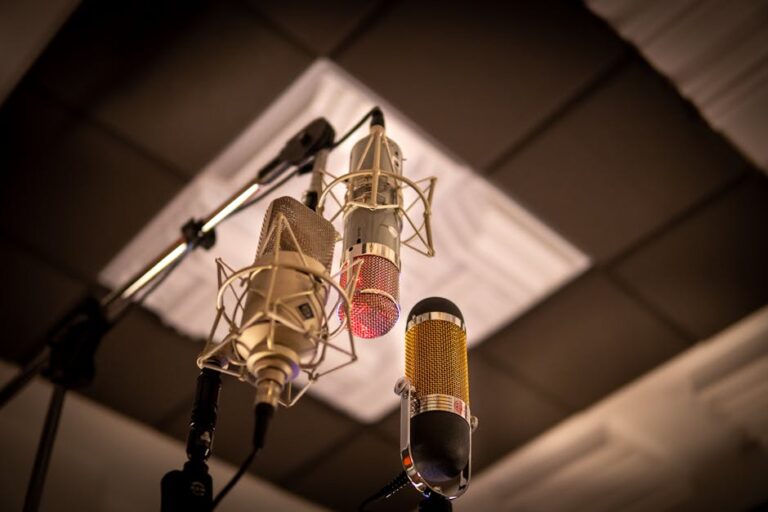 Lire la suite à propos de l’article Meilleur micro pour enregistrer la voix en home studio 2026